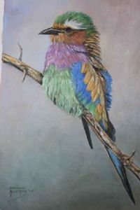 "Lilac Breasted Roller"