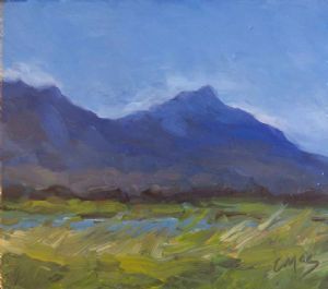 "False Bay Reserve"