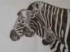 "Zebra Family"