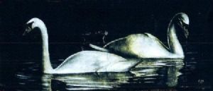 "Swans"