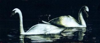 "Swans"