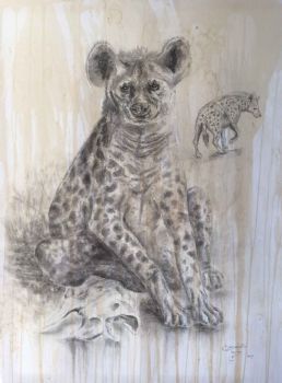 "Hyenas"