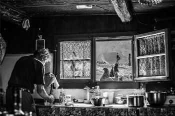 "Roman and the Chickens "