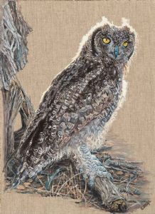 "Golden Light - Spotted Eagle Owl"