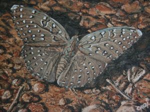 "Guineafowl Butterfly"