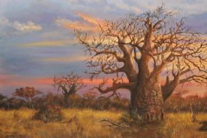 "Baobab Sunset"