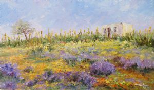 "Namaqualand in full bloom"