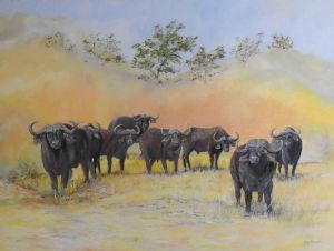 "Buffalo Scared by Lions"