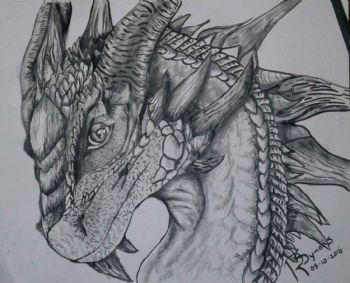 "Dragon"