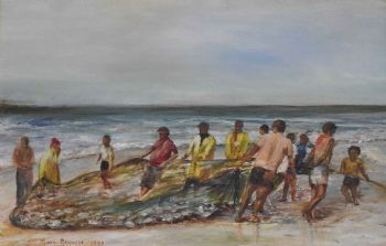 "Yellow Tail Fish Hoek"