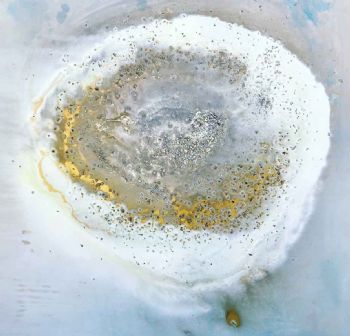"Chilled Oyster "