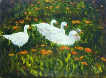 "Ducks in a Calendula Garden "