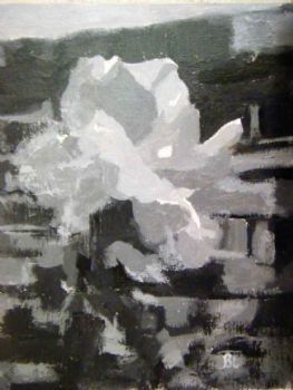 "White Rose"