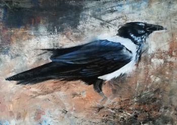 "Crow 1"