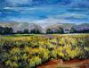 "Glorious Namakwaland"