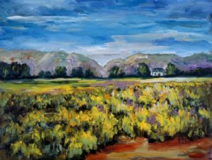 "Glorious Namakwaland"