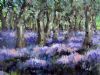 "Purple Forest"