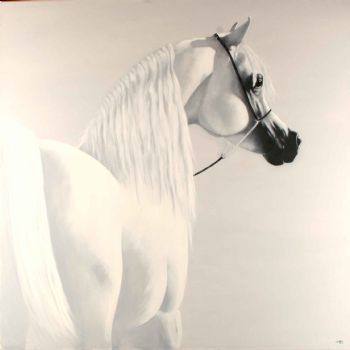 "419 2016 50 Shades of Grey 1229 x 1229"
