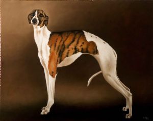 "Whippet"