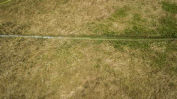 "Well-Trodden Path Across a Field"