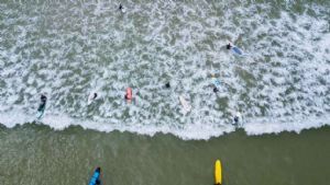 "Training Day at the Surfing School"