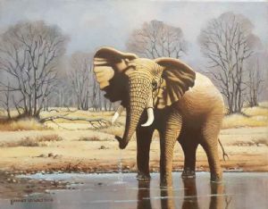 "Lone Bull Quenching its Thirst"
