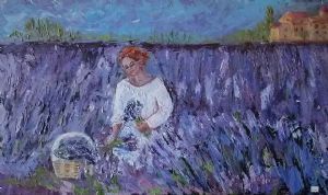 "Lavender in Provence"