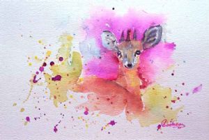 "Damara Dik Dik"
