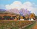 Jonkershoek Vineyards, Stellenbosch