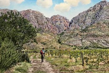 "Mountains at Slanghoek"