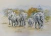 "Elephant Procession"