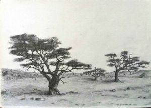 "Karoo Survivors"
