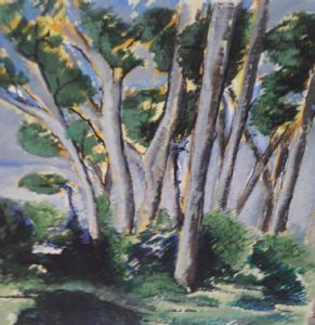 "Eastcliff Forest"