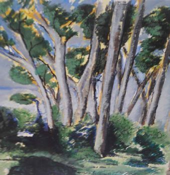 "Eastcliff Forest"