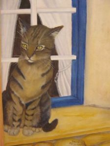 "curiosity"