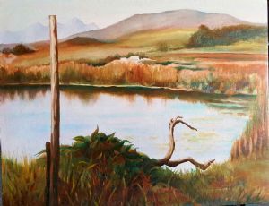 "Hazendal Stellenbosch"