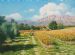 Wellington Vineyards 