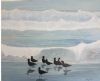 "Oystercatchers at Keurbooms"