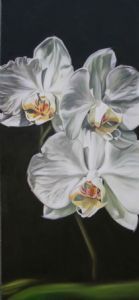 "Orchids"