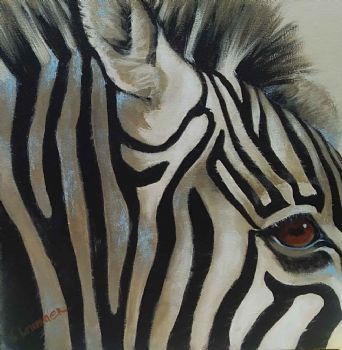"Zebra Series 3"