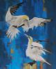 "Gannets"