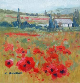 "The Poppy Field"