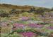 Railway Line Through the Flowers