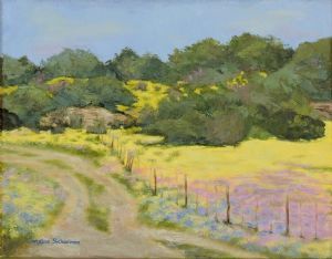 "Gravel Road During Flower Season, Namaqualand"
