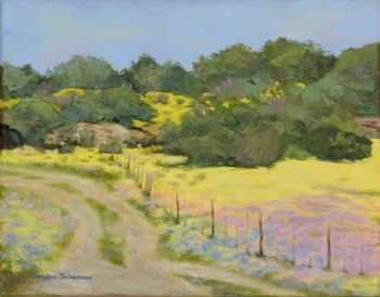 "Gravel Road During Flower Season, Namaqualand"