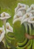 "Arum Lilies"