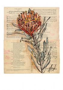"Latent Vestiges - Protea"