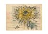 "Latent Vestiges - Chrysanthemum "