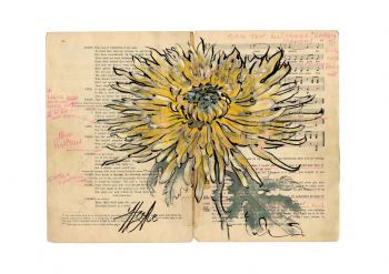"Latent Vestiges - Chrysanthemum "