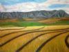 "Cornfields"